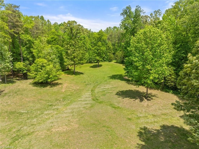 view of local wilderness