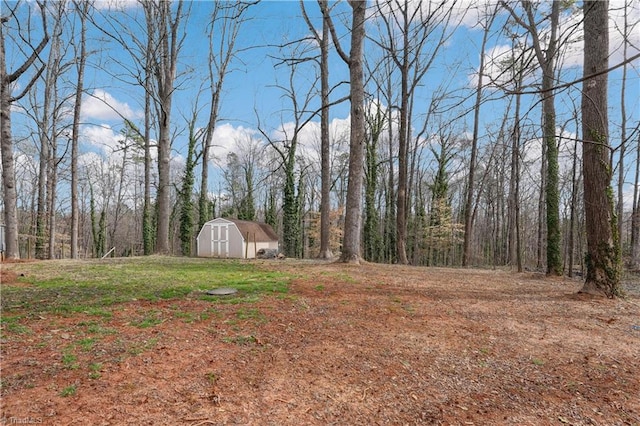 view of yard with a storage shed and an outdoor structure