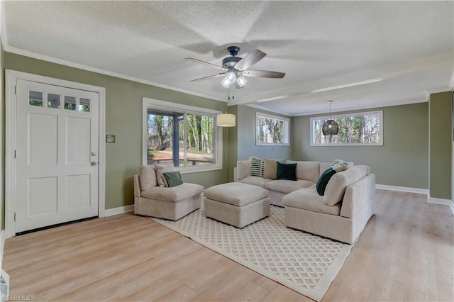 living room featuring a textured ceiling, baseboards, light wood-style flooring, and crown molding