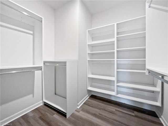 walk in closet with dark hardwood / wood-style floors