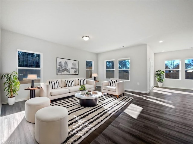 living room with wood-type flooring and plenty of natural light