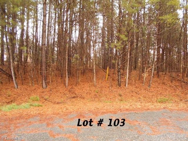 103 Deer Run, Eden NC, 27288 land for sale