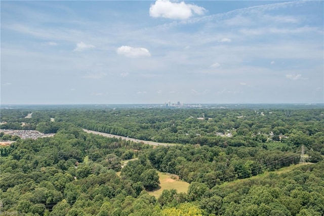 2765 Green Oaks Dr, Winston-Salem, NC 27107 - bird's eye view of a forest