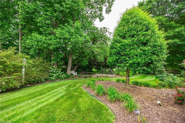 608 Greyrock Rd, Whitsett, NC 27377 - view of grassy yard
