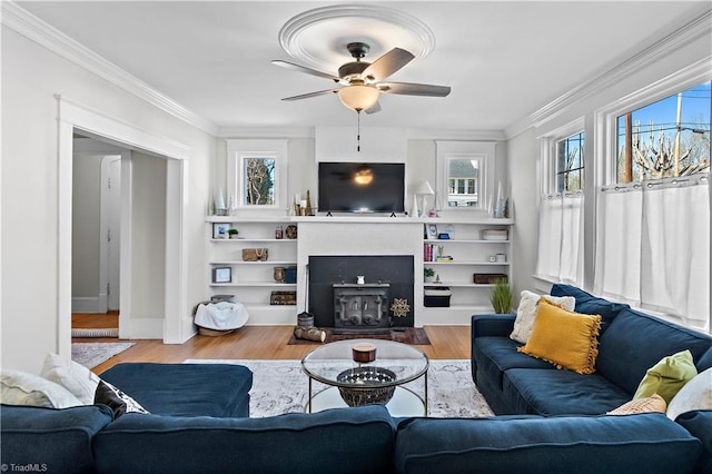 living room featuring light hardwood / wood-style floors, ceiling fan, and crown molding