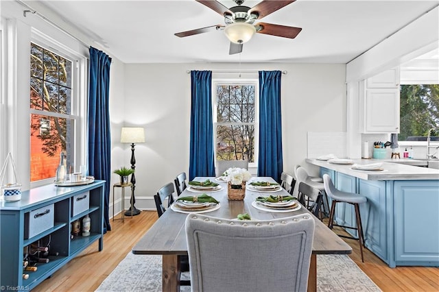 dining room featuring ceiling fan and light hardwood / wood-style floors