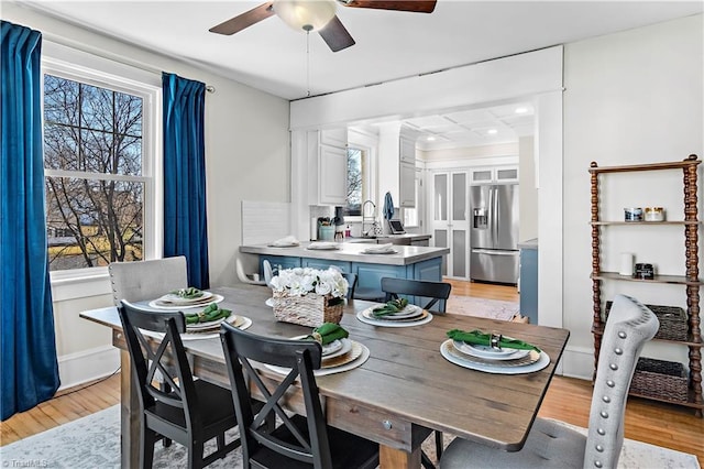 dining area with ceiling fan and light hardwood / wood-style flooring