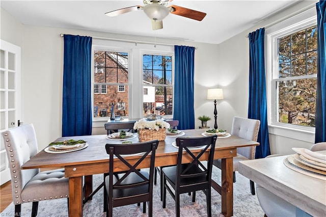 dining room with hardwood / wood-style flooring and ceiling fan