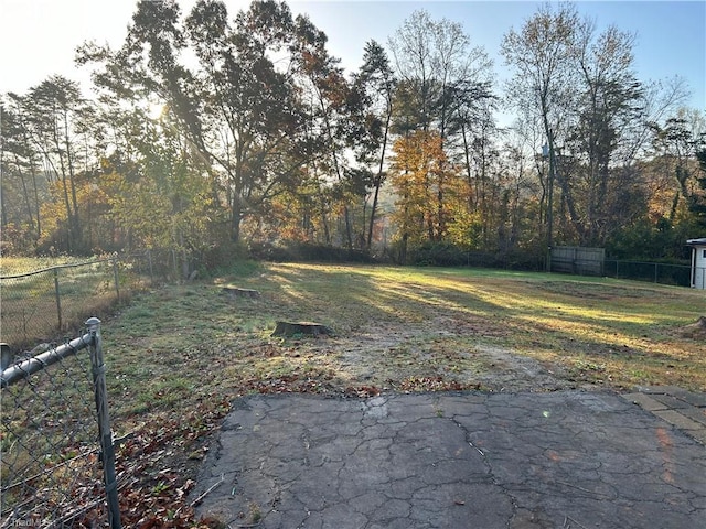 view of yard featuring a patio