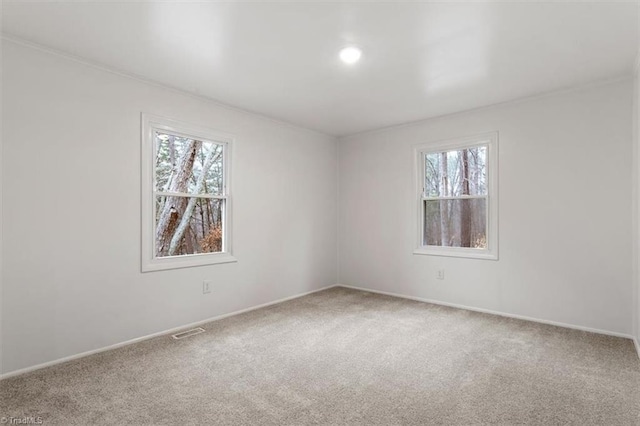 carpeted empty room featuring a wealth of natural light