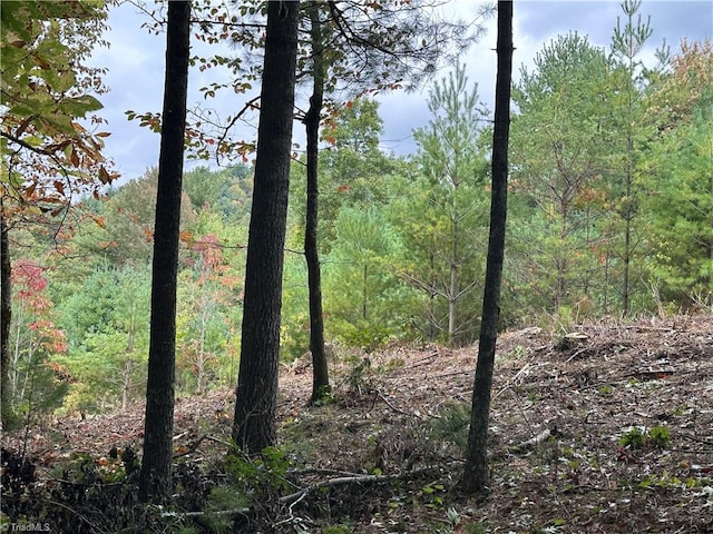 LOT26E Cascade Run, Purlear NC, 28665 land for sale