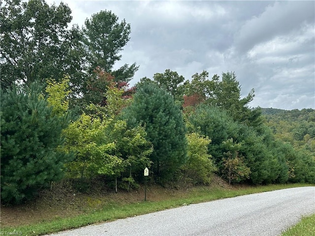 Listing photo 3 for LOT26E Cascade Run, Purlear NC 28665