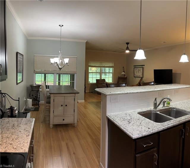 kitchen featuring dark brown cabinetry, open floor plan, a sink, and light wood finished floors