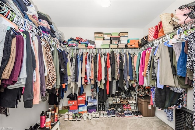 4385 Morning Ridge Ln, Winston-Salem, NC 27101 - walk in closet with carpet