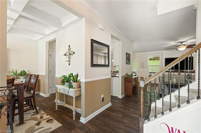 1951 Rubywood St, Greensboro, NC 27405 - entryway with crown molding, dark wood-style floors, stairway, a ceiling fan, and beamed ceiling