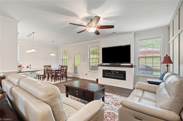 1951 Rubywood St, Greensboro, NC 27405 - living area with crown molding, plenty of natural light, ceiling fan, and dark wood-type flooring