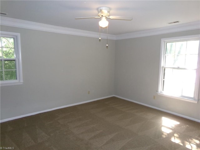 203 Turkey Hill Dr, King, NC 27021 - carpeted empty room with plenty of natural light, crown molding, and a ceiling fan