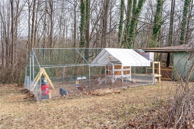 view of poultry coop