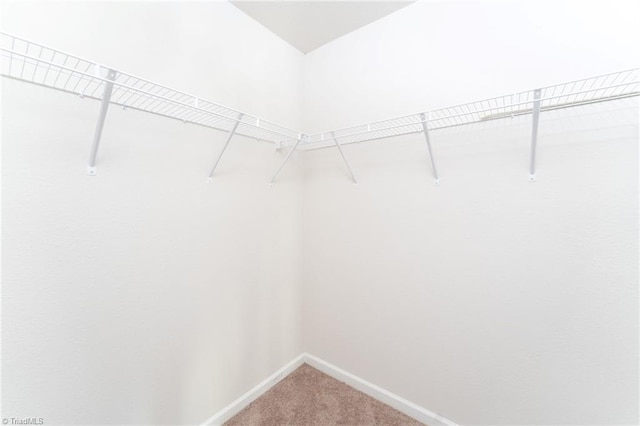 walk in closet featuring carpet