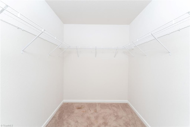 spacious closet featuring light carpet