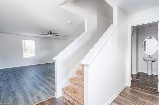 staircase featuring hardwood / wood-style flooring and ceiling fan