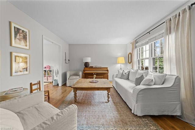 living room with hardwood / wood-style flooring