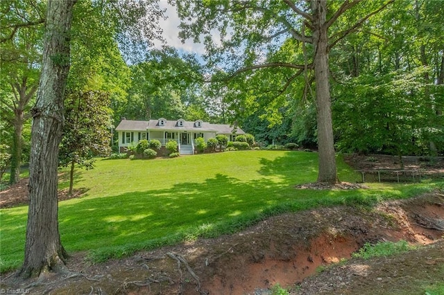 250 Oakmont Ter, Lexington, NC 27295 - view of green lawn