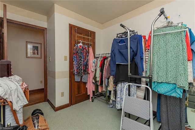 250 Oakmont Ter, Lexington, NC 27295 - spacious closet with carpet flooring