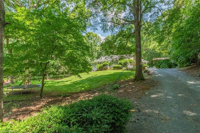 250 Oakmont Ter, Lexington, NC 27295 - view of grassy yard featuring a trampoline