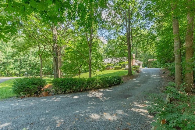 250 Oakmont Ter, Lexington, NC 27295 - view of dirt / gravel road