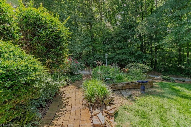 250 Oakmont Ter, Lexington, NC 27295 - view of yard