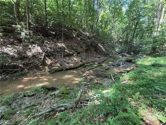 TBD Mount Sinai Rd, Wilkesboro, NC 28697
