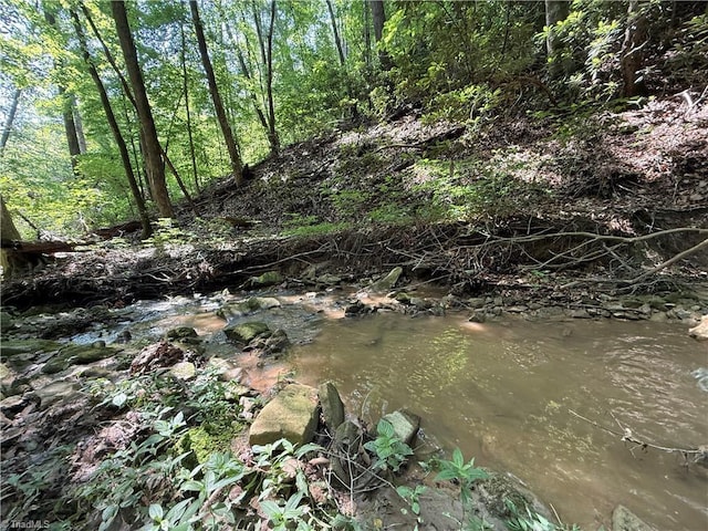 TBD Mount Sinai Rd, Wilkesboro, NC 28697