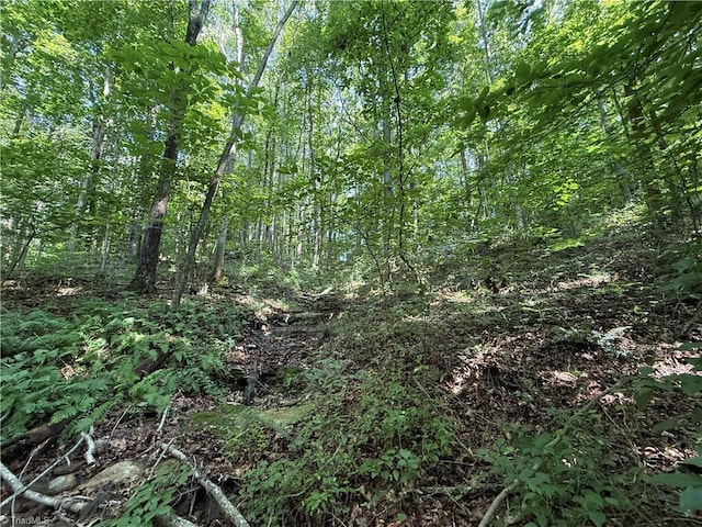 TBD Mount Sinai Rd, Wilkesboro, NC 28697