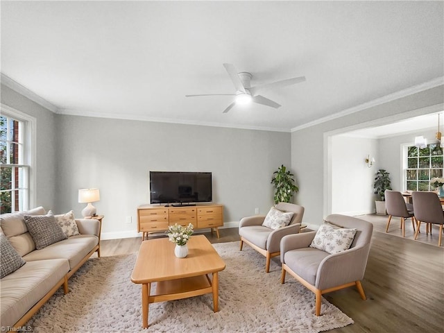 living room featuring ceiling fan with notable chandelier, hardwood / wood-style flooring, and crown molding