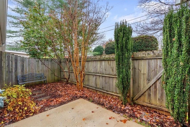 view of yard featuring a patio and fence private yard