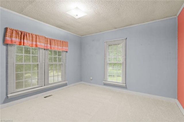 2796 Grant Trl, Randleman, NC 27317 - carpeted spare room with crown molding, a textured ceiling, and baseboards