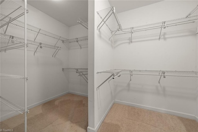 4215 Chippenham Ct, Graham, NC 27253 - walk in closet with carpet floors