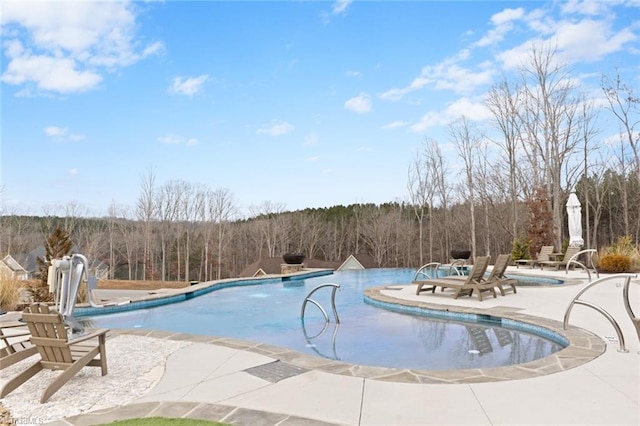 view of pool with a patio area and pool water feature