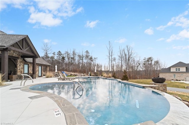 view of swimming pool featuring a patio