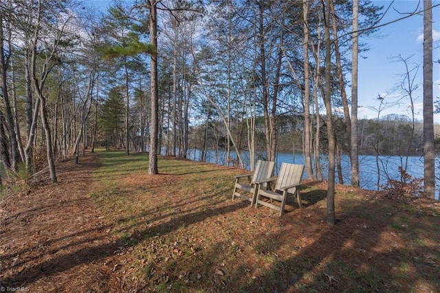 view of yard with a water view