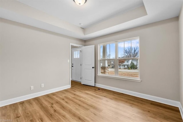 foyer entrance with a raised ceiling, light hardwood / wood-style flooring, and a wealth of natural light