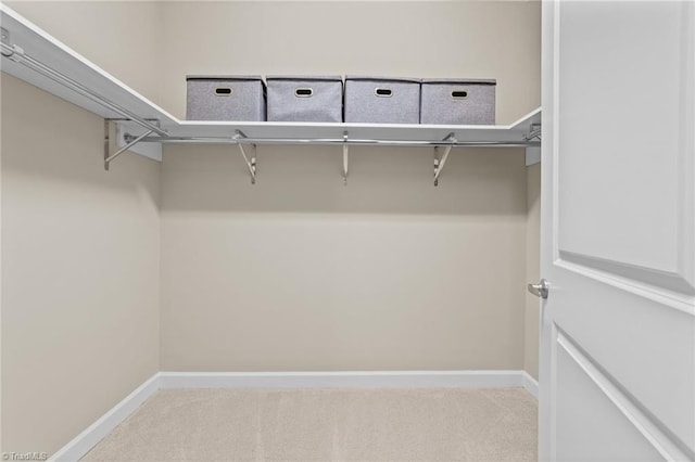 spacious closet featuring light colored carpet