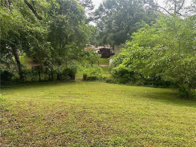 1230 W Sedgefield Dr, Winston-Salem, NC 27107 - view of grassy yard