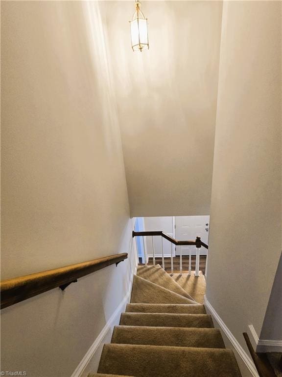 stairs with carpet flooring