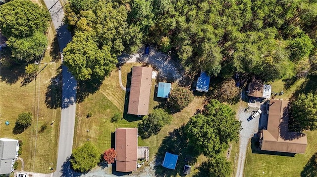 drone / aerial view