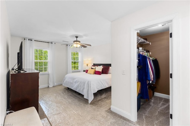 bedroom featuring a closet, baseboards, a walk in closet, ceiling fan, and carpet flooring