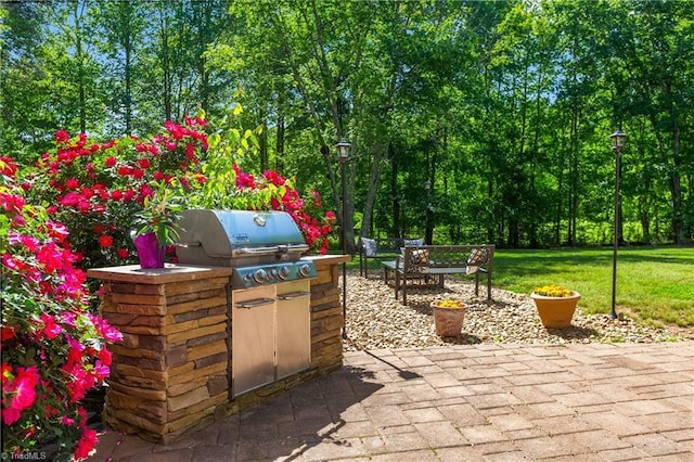 view of patio with grilling area and exterior kitchen