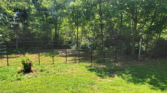 313 Farmstead Rd, King, NC 27021 - view of yard