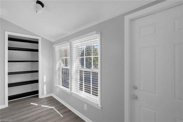 interior space featuring dark hardwood / wood-style floors and vaulted ceiling